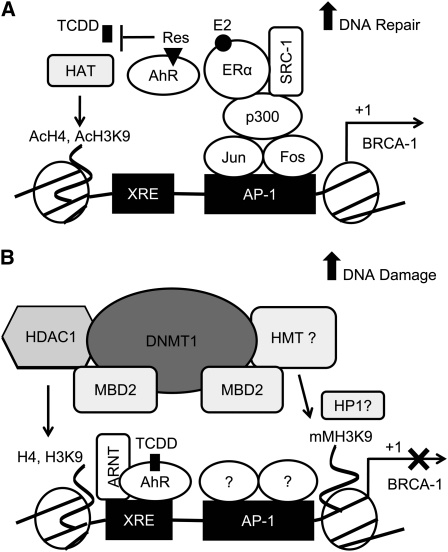 FIGURE 7