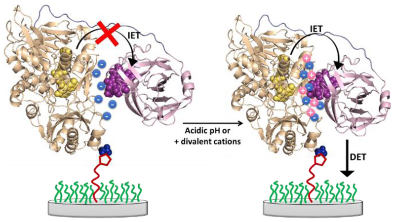 Figure 15