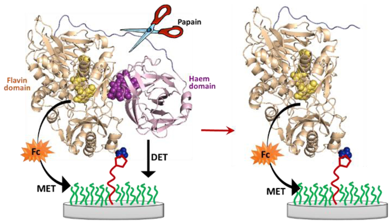 Figure 18