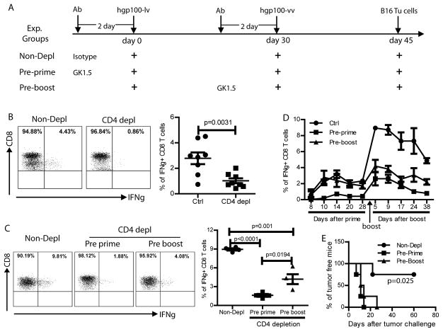 Fig.6