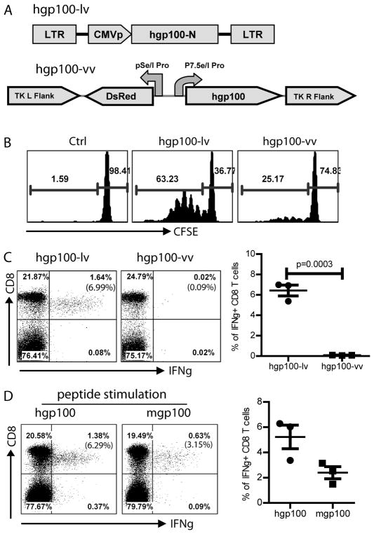 Fig.1