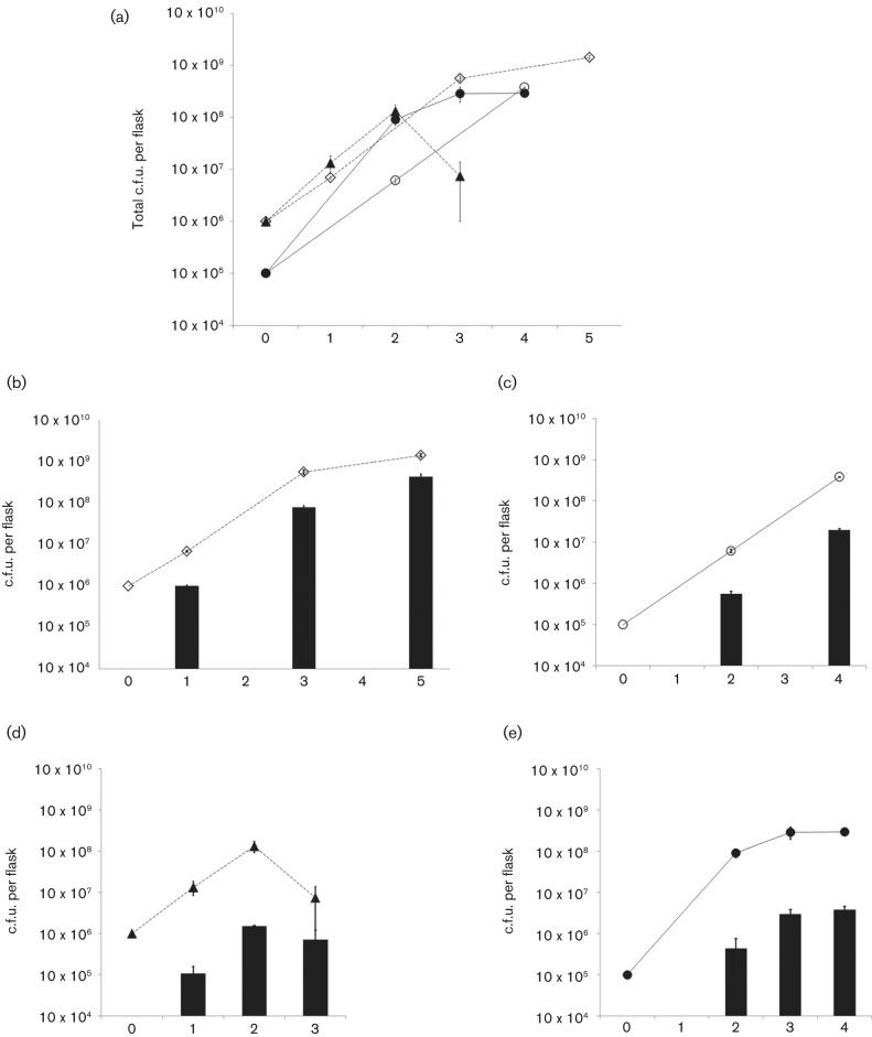 Fig. 1. 