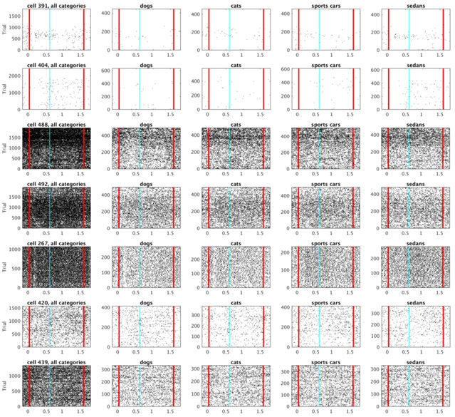 Figure 10.