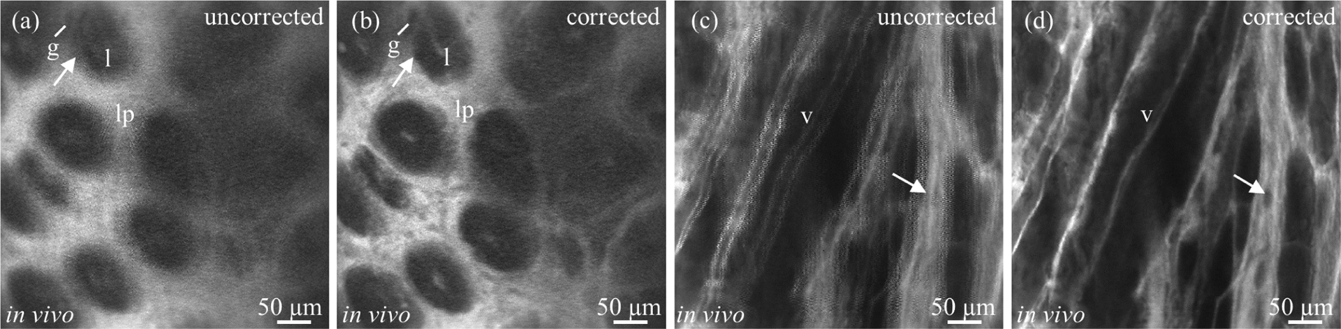 Fig. 7.