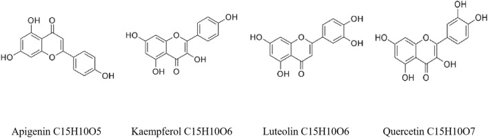 FIGURE 4