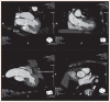 Figure 3: