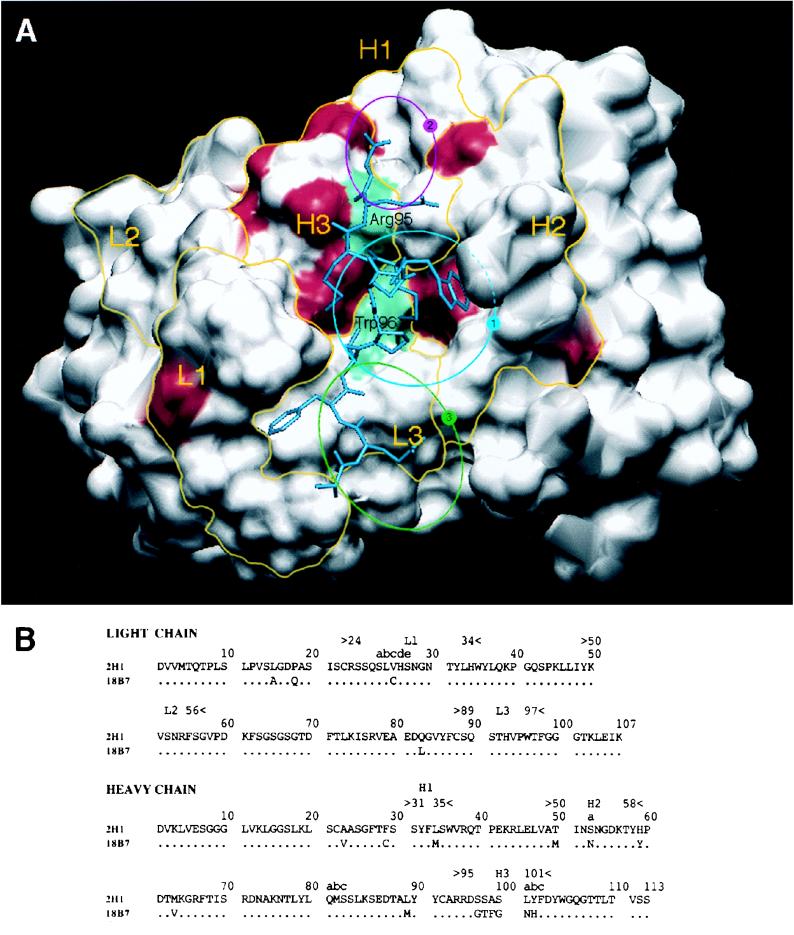 FIG. 1