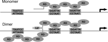 FIGURE 7.