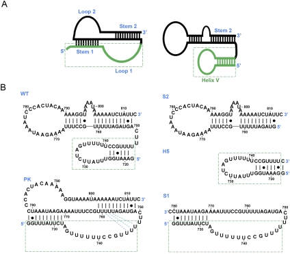 FIGURE 1.