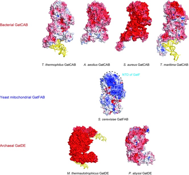 Figure 6.