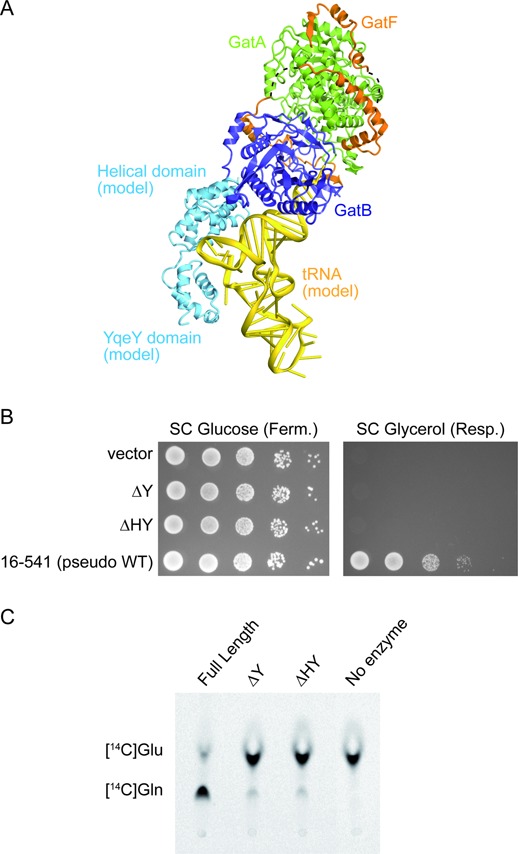 Figure 3.