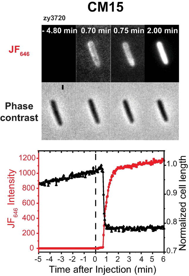 Figure 6