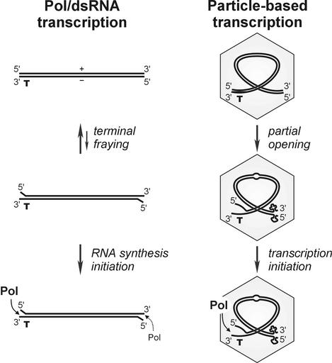 FIG. 9.