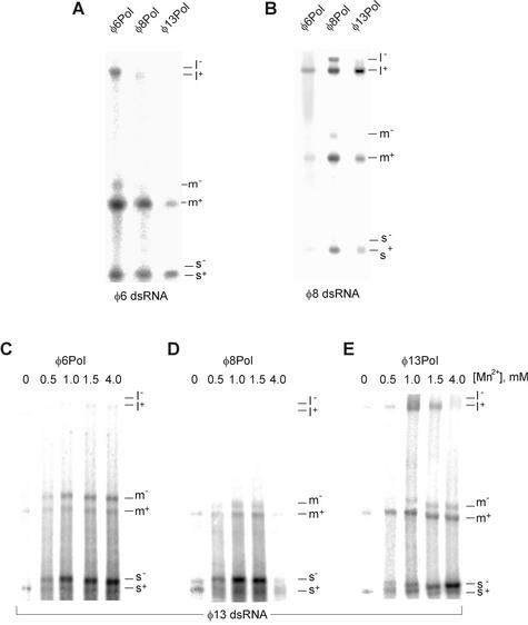 FIG. 6.