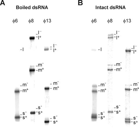 FIG. 7.