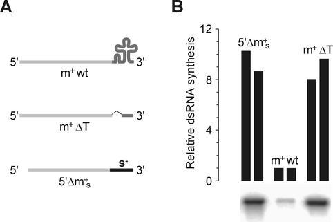 FIG. 8.