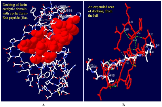 Figure 10