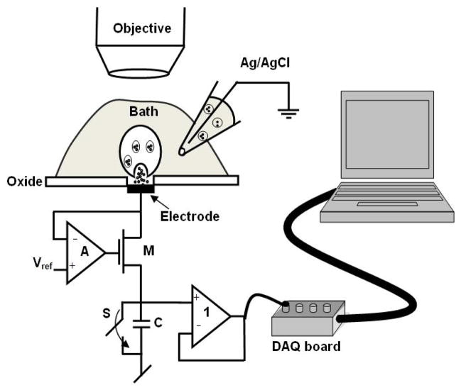 Fig. 4