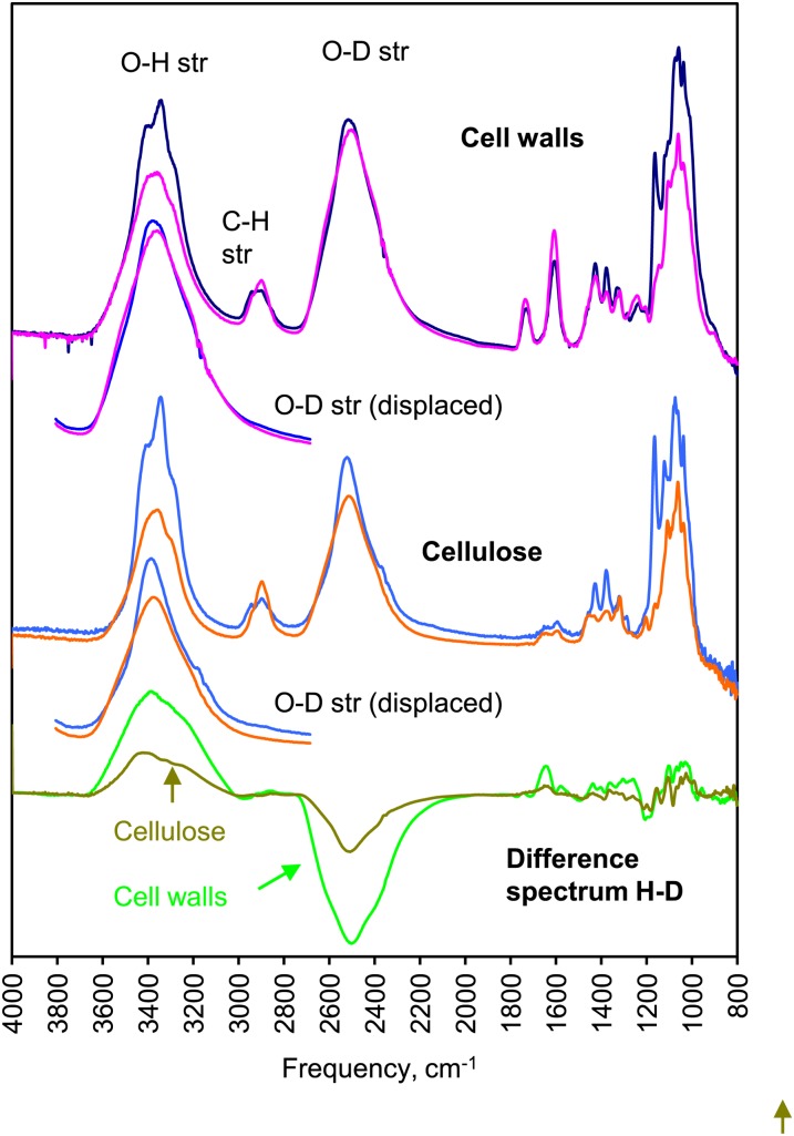 Figure 5.