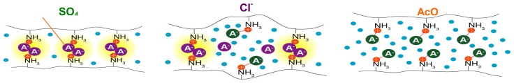 Scheme 3.