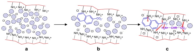 Scheme 11.