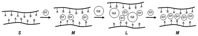 Scheme 6.