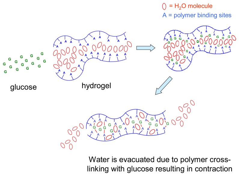 Figure 13.