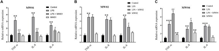 FIGURE 2