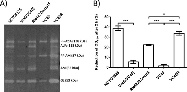 FIG 2