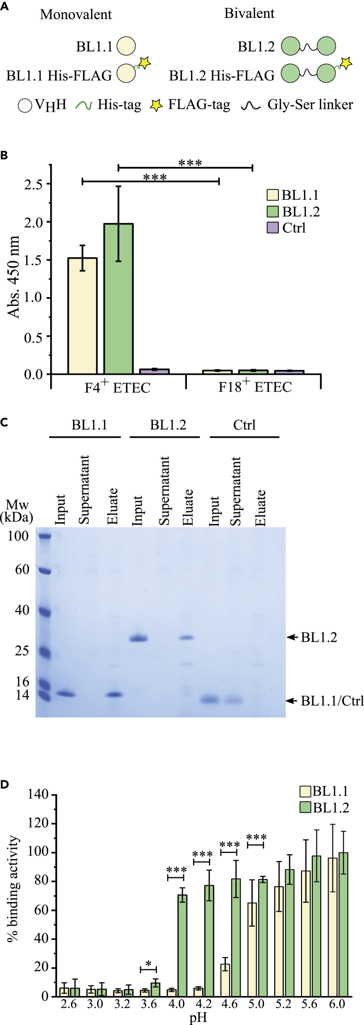 Figure 1