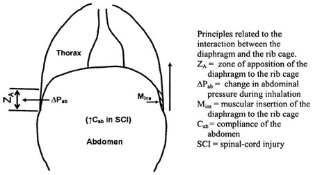 graphic file with name nihms43993f9.jpg