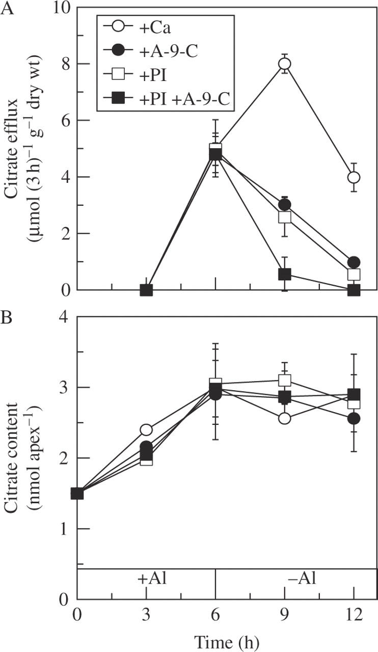 Fig. 5.