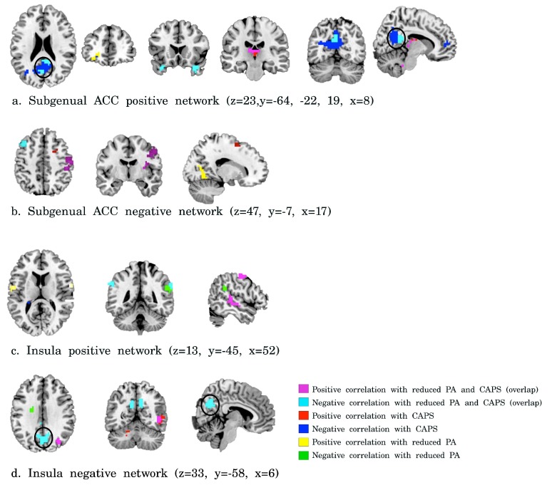 Supplementary Figure 1.