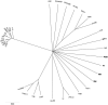 FIG 4