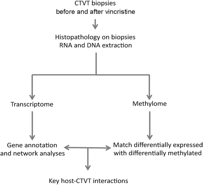 Figure 1