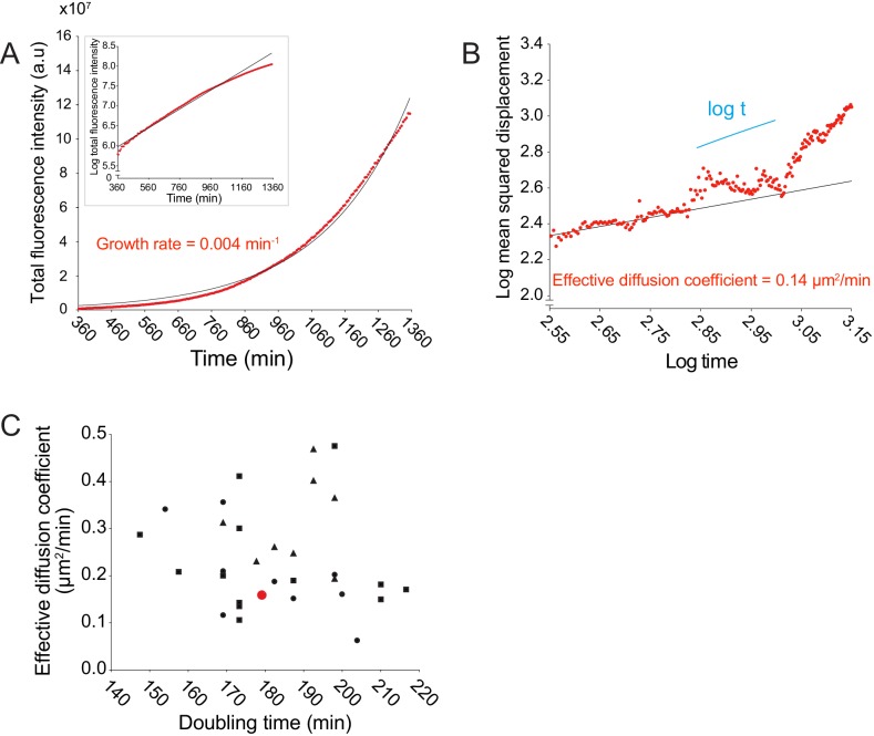 Figure 1—figure supplement 1.