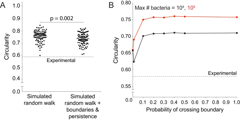 Figure 2—figure supplement 4.