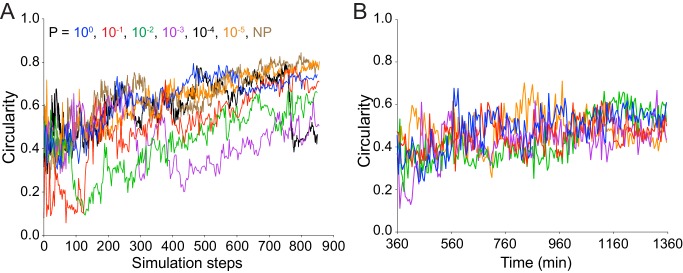 Figure 3—figure supplement 2.