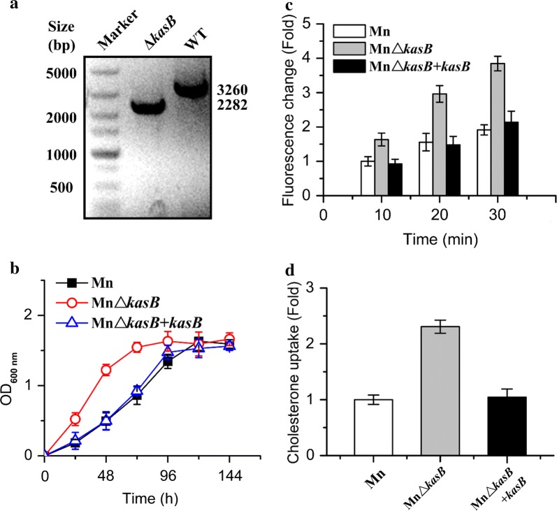 Fig. 2