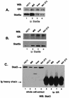 FIG. 7