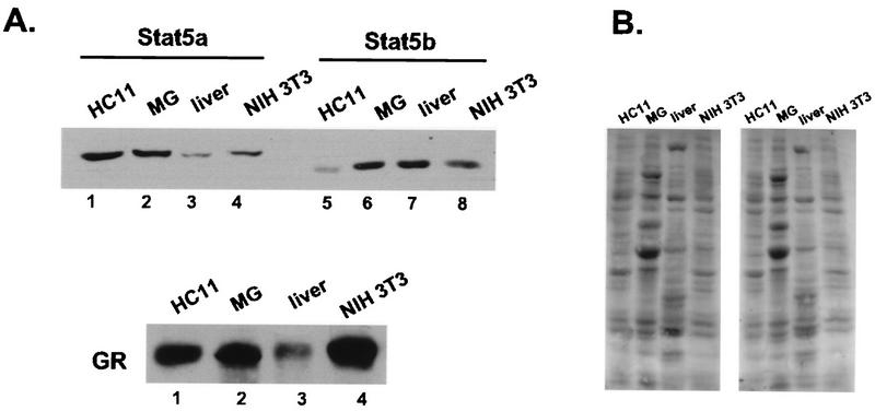 FIG. 6