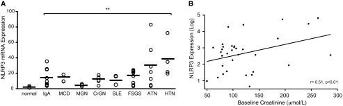 Figure 9.