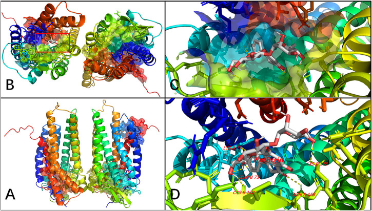 FIGURE 7