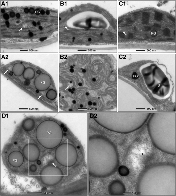 Figure 3.