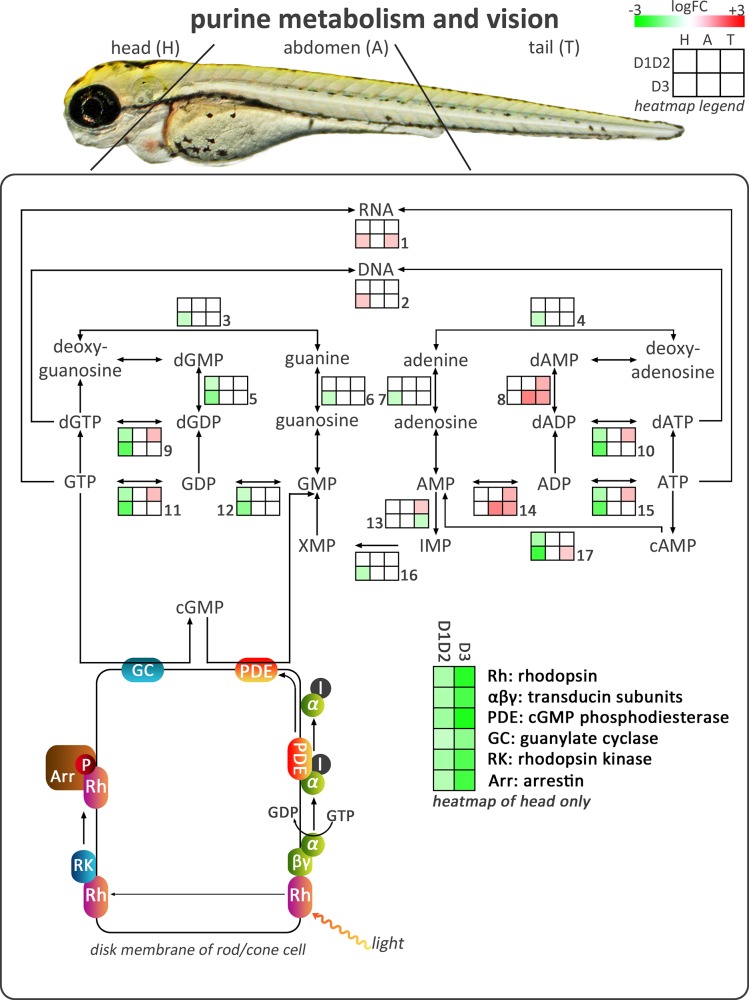 Fig 2