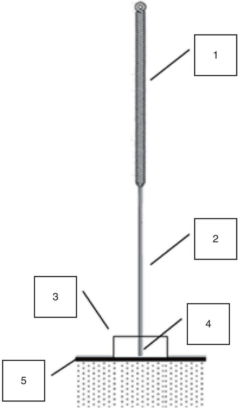 FIGURE 1