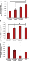 Fig. 11