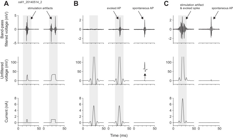 Fig. 1.