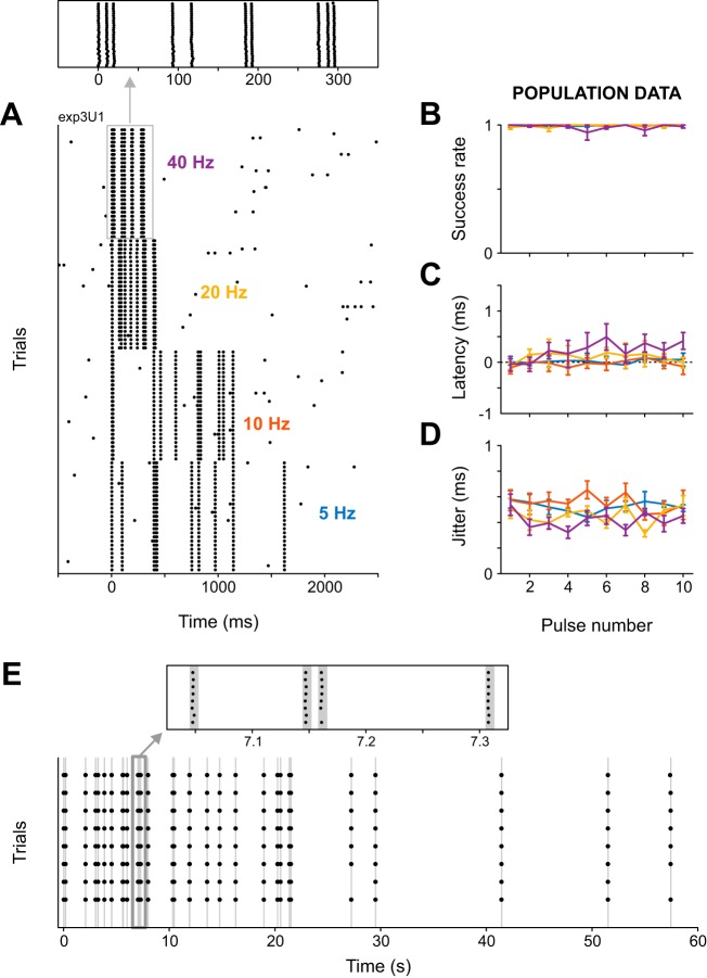 Fig. 4.