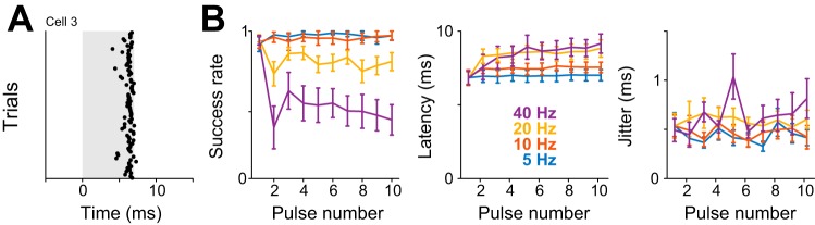 Fig. 9.